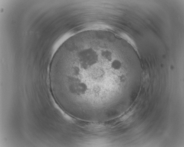 X0000065241103200602242018