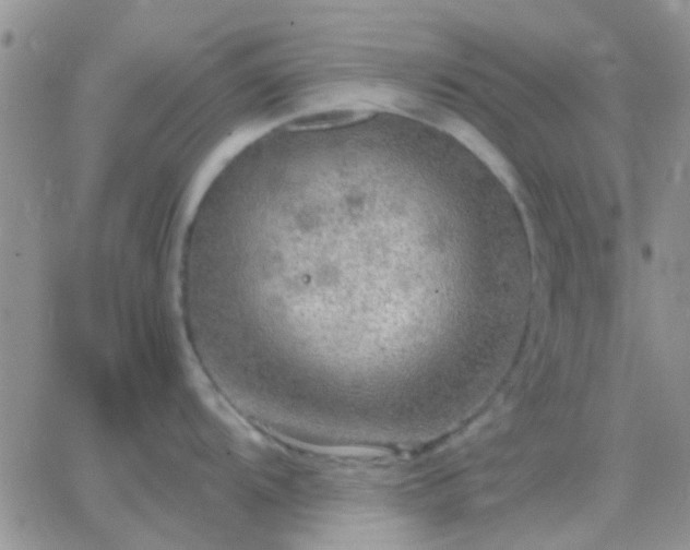 X0000065241104200602242018