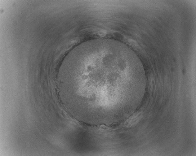 X0000065241105200602242017