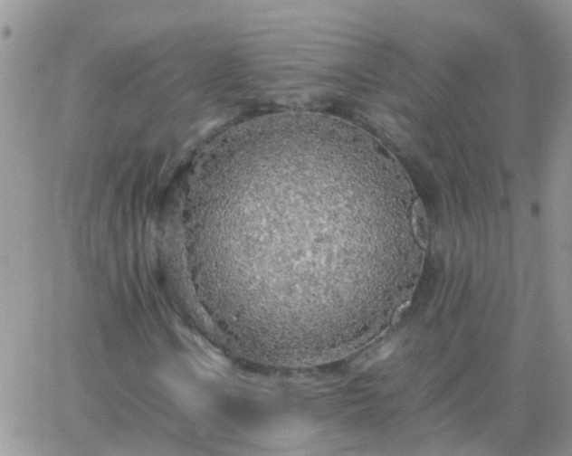 X0000065241106200602242017