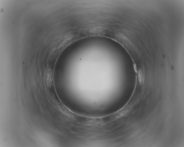 X0000065241107200602242017