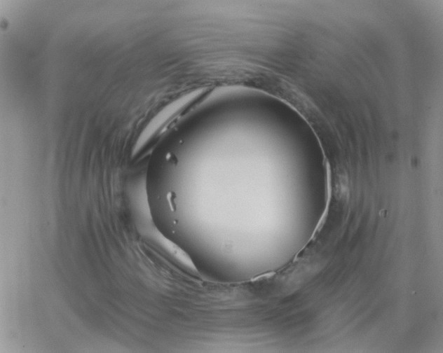 X0000065241108200602242017