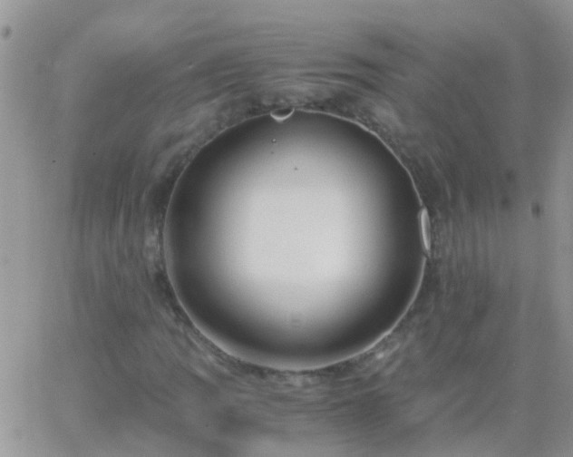 X0000065241109200602242017