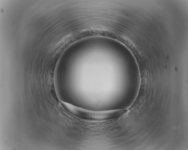 X0000065241110200602242017