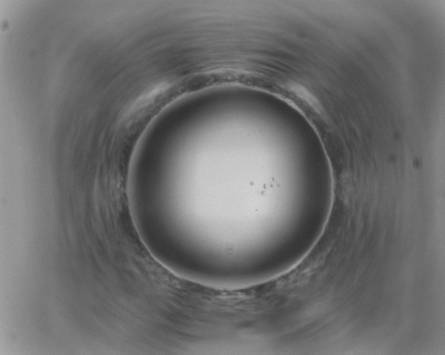 X0000065241111200602242017