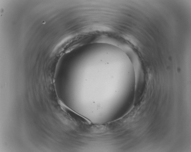 X0000065241112200602242017