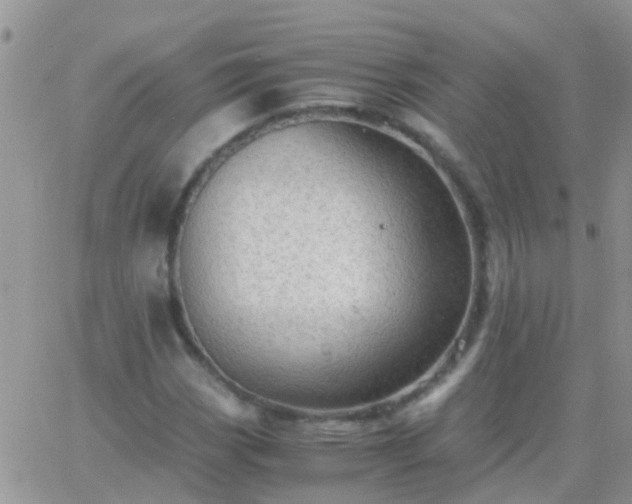 X0000065241113200602242017