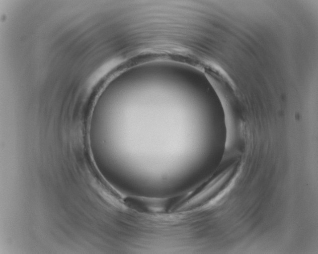 X0000065241114200602242018