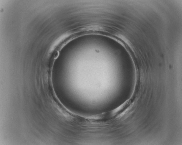 X0000065241115200602242018