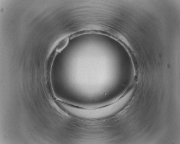 X0000065241116200602242018