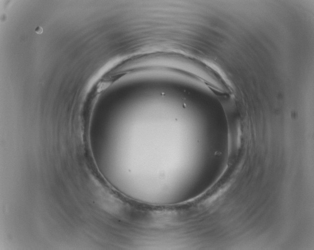 X0000065241118200602242018