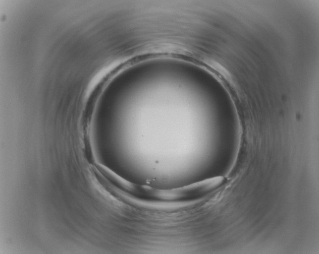 X0000065241120200602242018