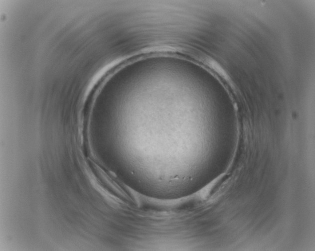 X0000065241124200602242018