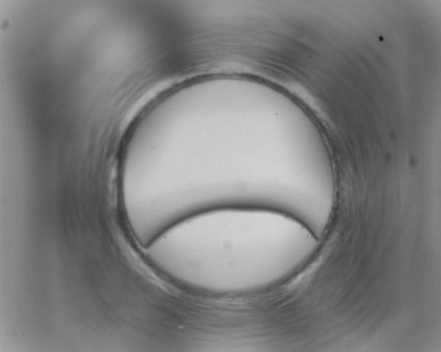 X0000065241126200602242018