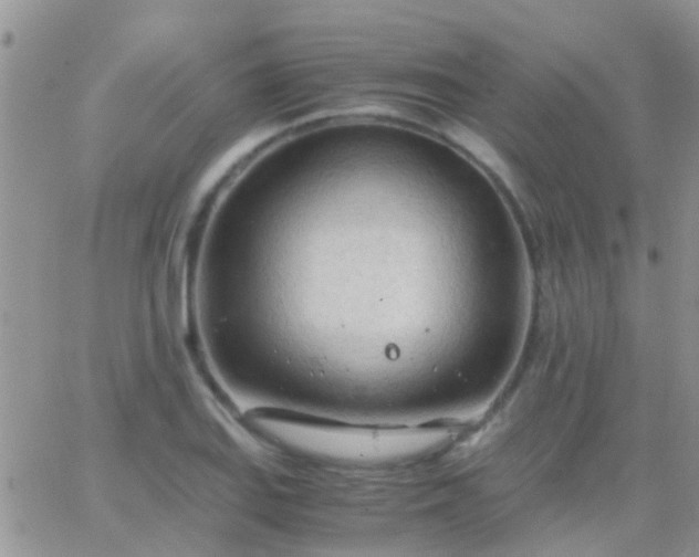 X0000065241127200602242018