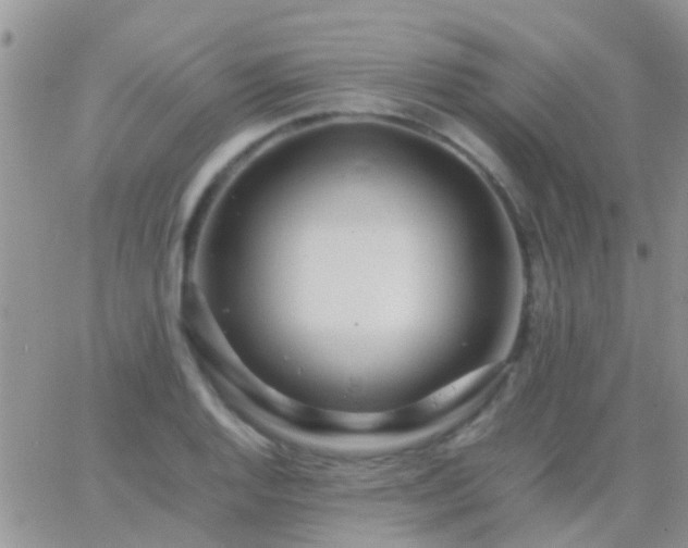 X0000065241128200602242018