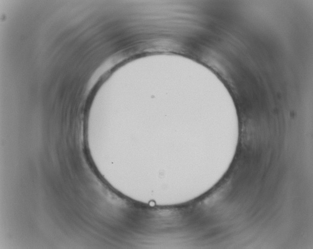 X0000065241130200602242018