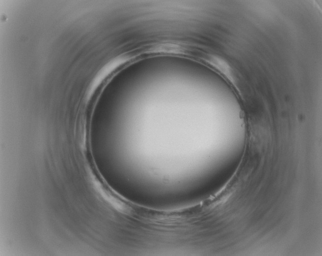 X0000065241131200602242018