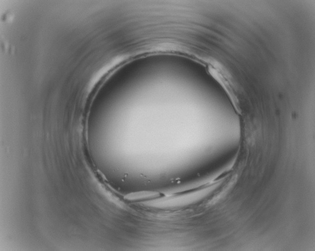 X0000065241134200602242018