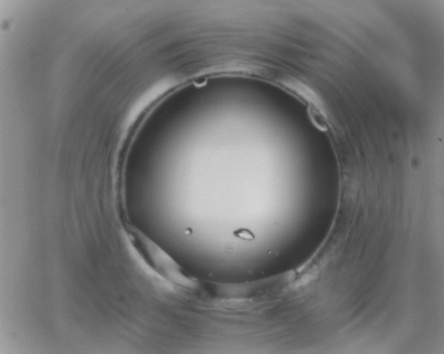 X0000065241135200602242018