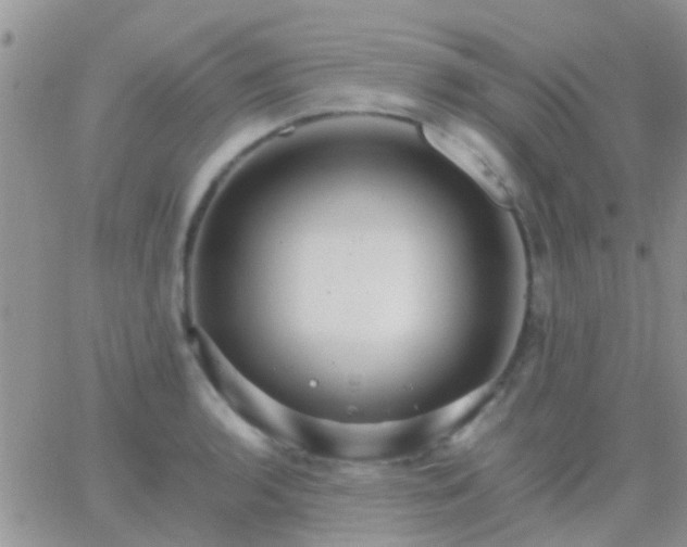 X0000065241136200602242018