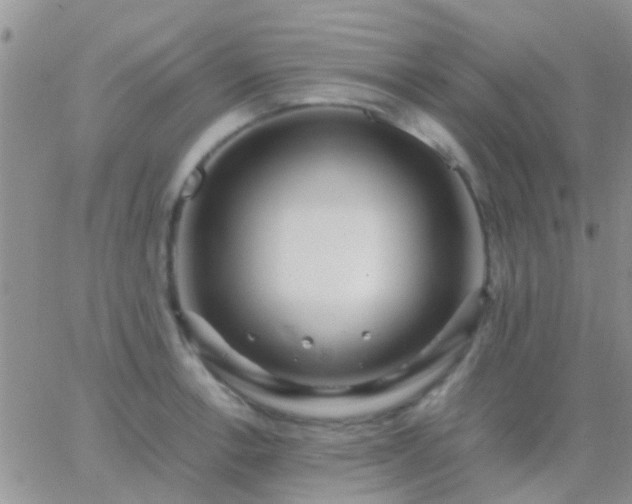 X0000065241138200602242018