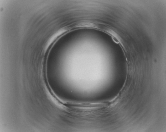 X0000065241139200602242018