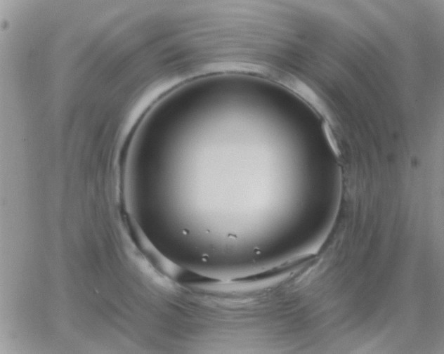 X0000065241140200602242018