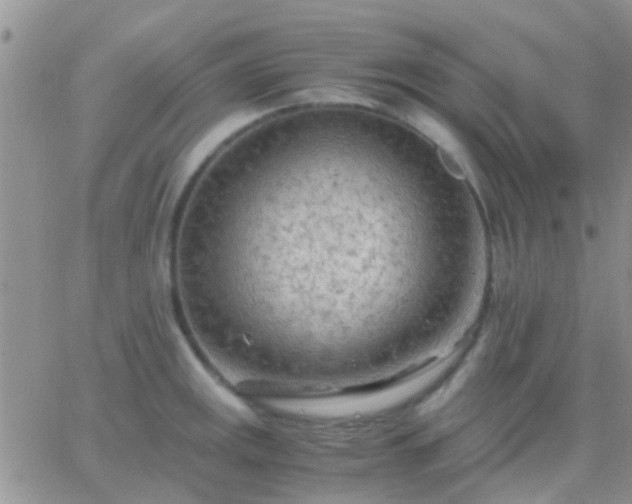 X0000065241141200602242018