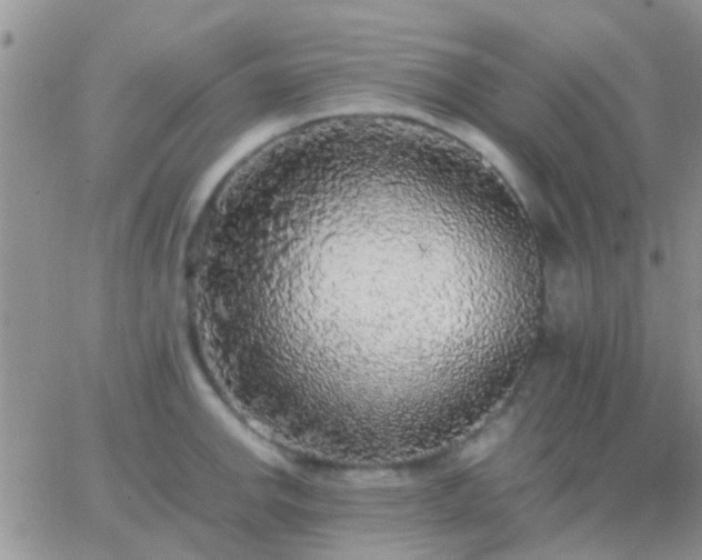 X0000065241142200602242018