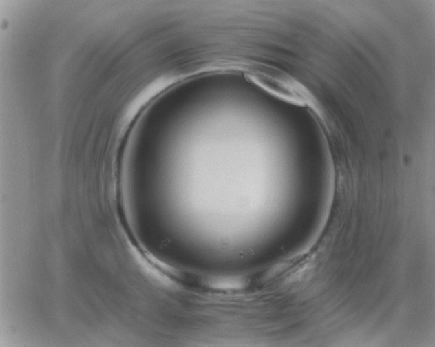 X0000065241143200602242018