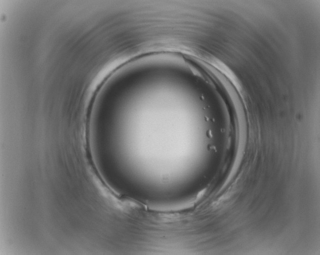 X0000065241144200602242018