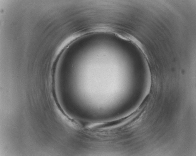 X0000065241147200602242018