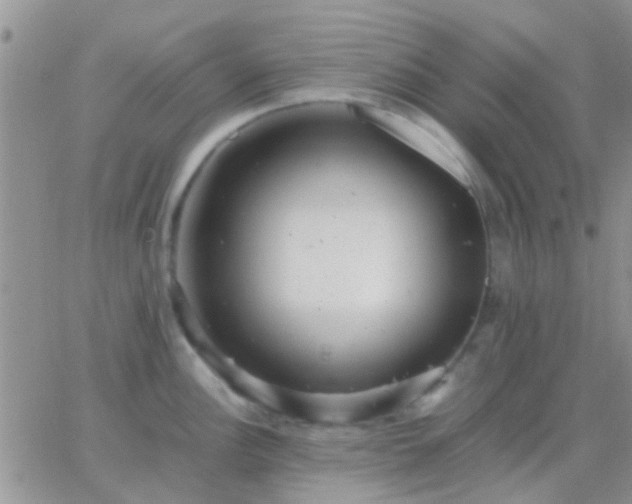 X0000065241148200602242018