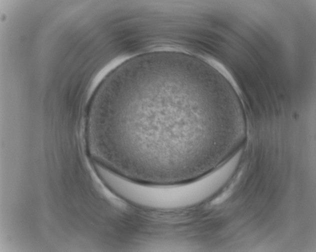 X0000065241149200602242018