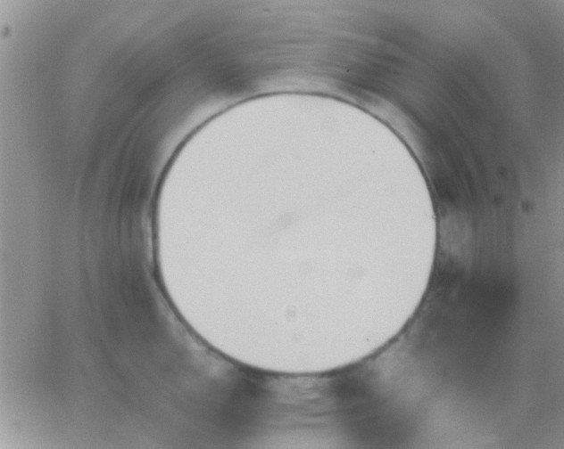 X0000065241150200602242018