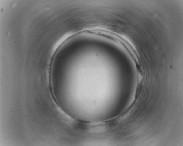 X0000065241151200602242018