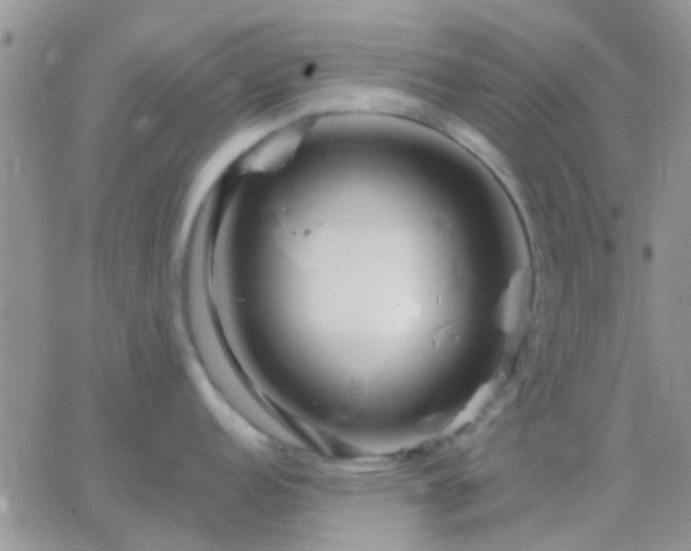 X0000065241152200602242018