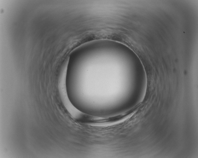 X0000065241153200602242017