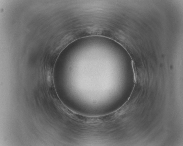 X0000065241154200602242017