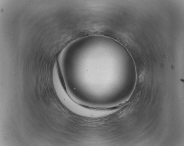 X0000065241156200602242017