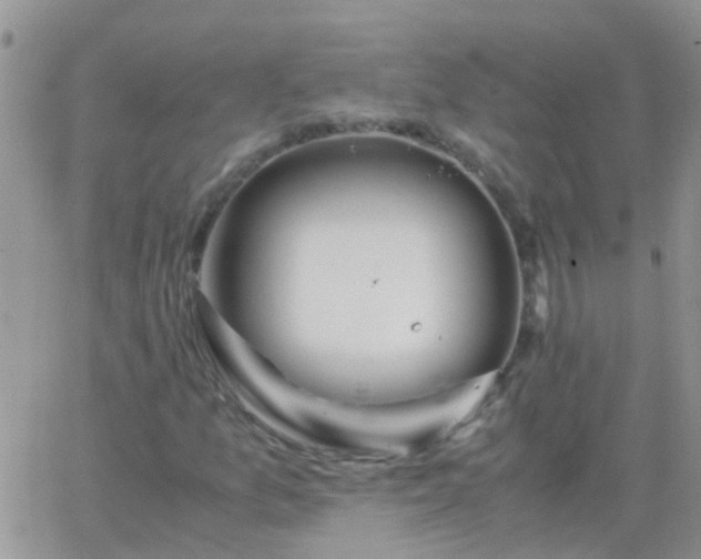 X0000065241157200602242017