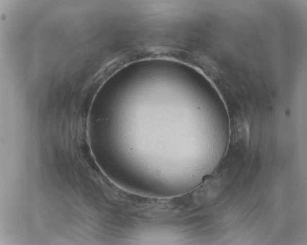 X0000065241158200602242017