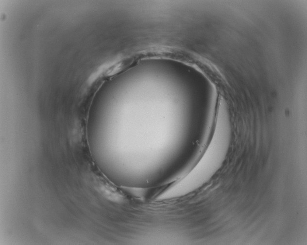 X0000065241160200602242017