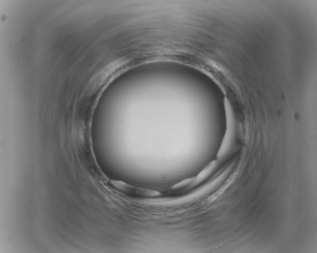 X0000065241161200602242017