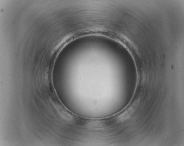 X0000065241162200602242017