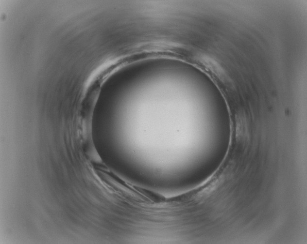 X0000065241164200602242017