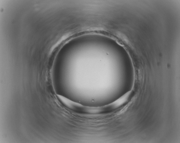 X0000065241165200602242017