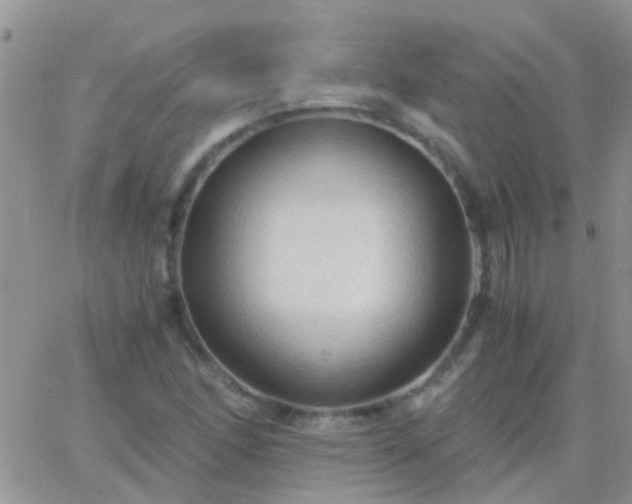 X0000065241166200602242017