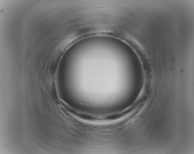 X0000065241169200602242017